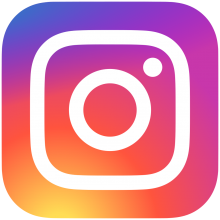 Instagram Logo public domain image